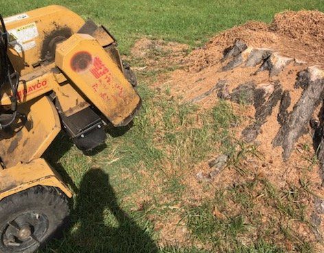A stump grinder is cutting a tree stump in the grass.