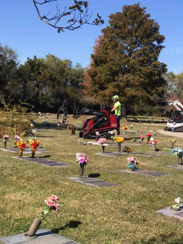 A man is cutting a tree in a cemetery