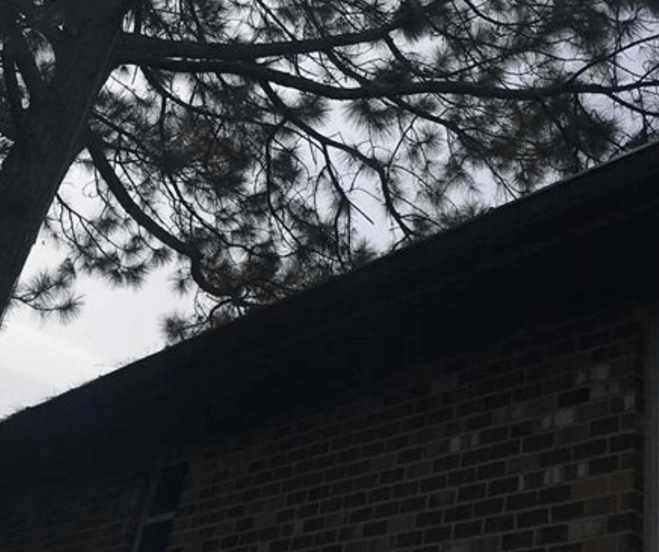 A brick building with a tree in the background