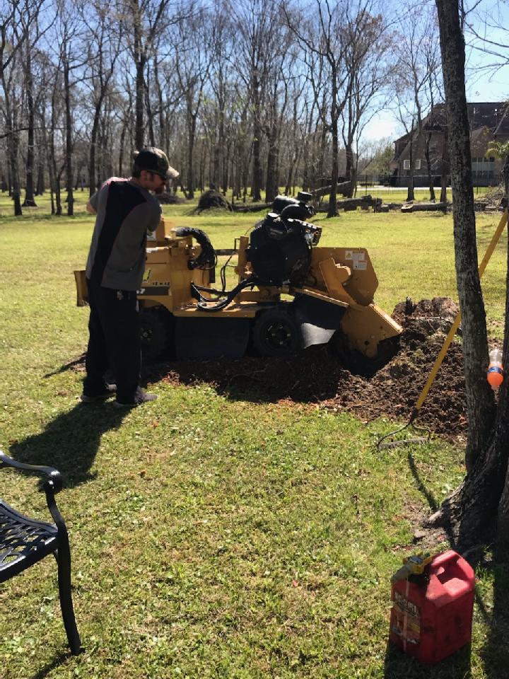 A man is working on a stump grinder in a park