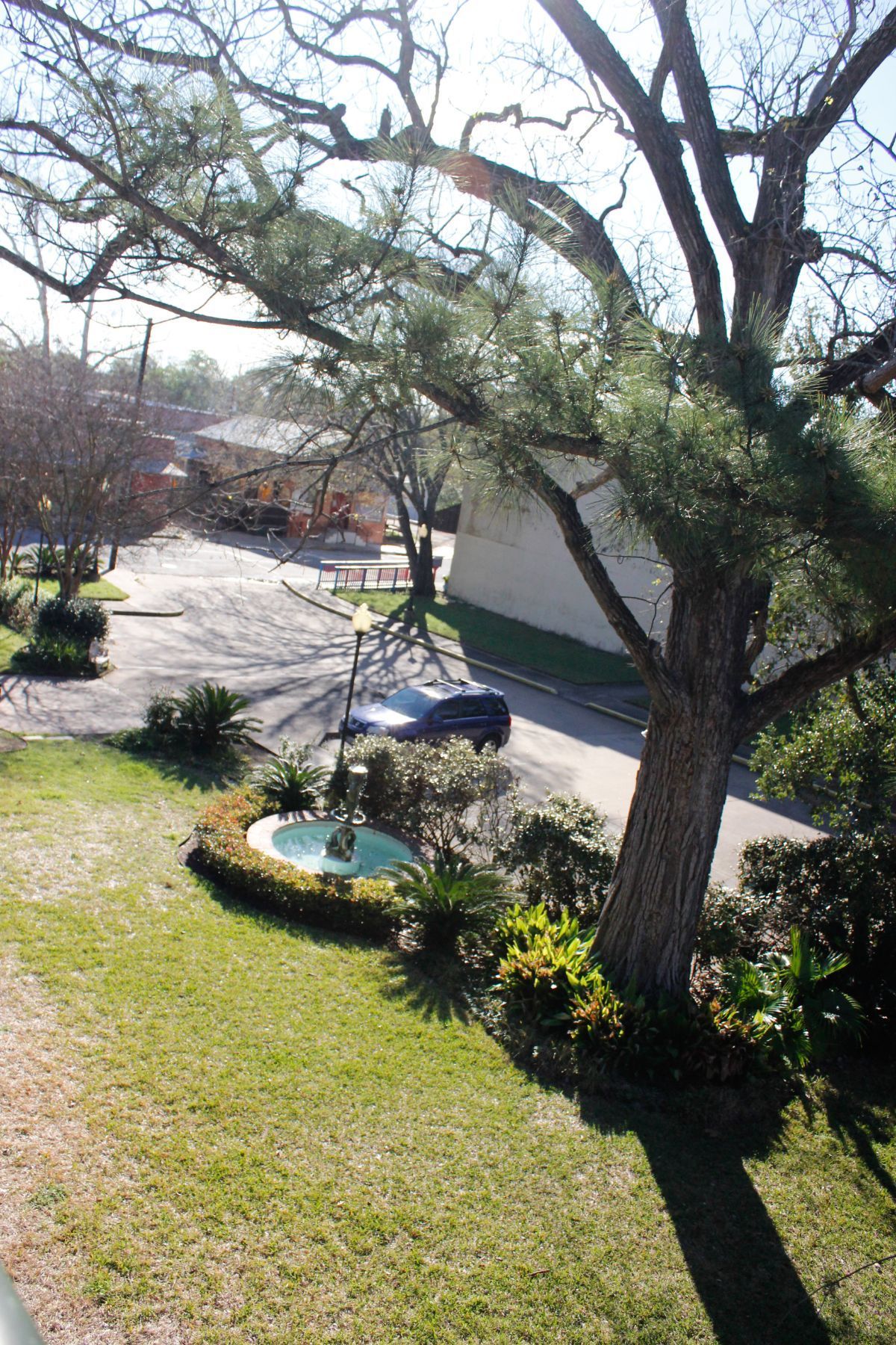 A car is parked in a driveway next to a tree