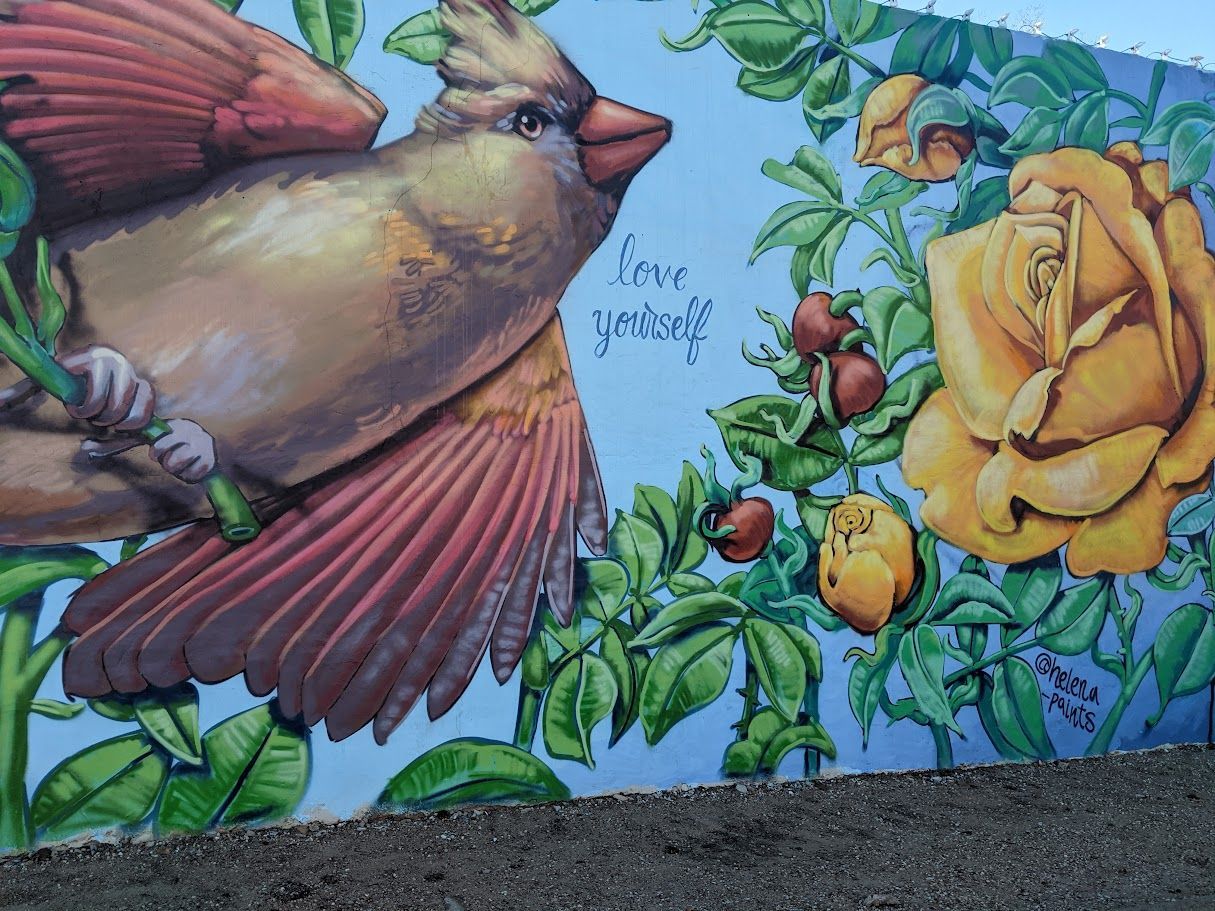 Mural of a tan cardinal with red wings perched on a vine with yellow roses and 