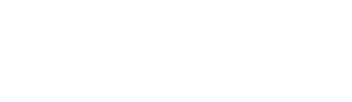Phil Currey Management Consultant