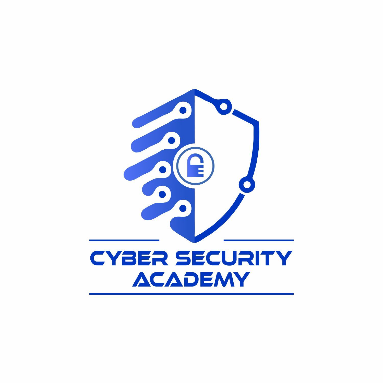 Cyber Security Academy 
