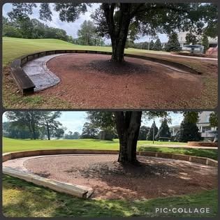 Top/bottom views of a tree with curved benches and red mulch. Set on green grass.