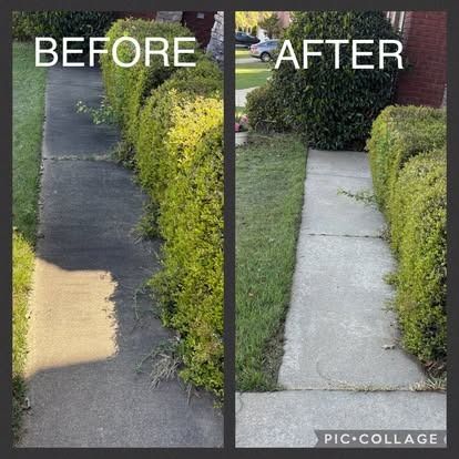 Before-and-after of a concrete walkway cleaned. Left side: dirty path. Right side: cleaned path. Green bushes line both sides.