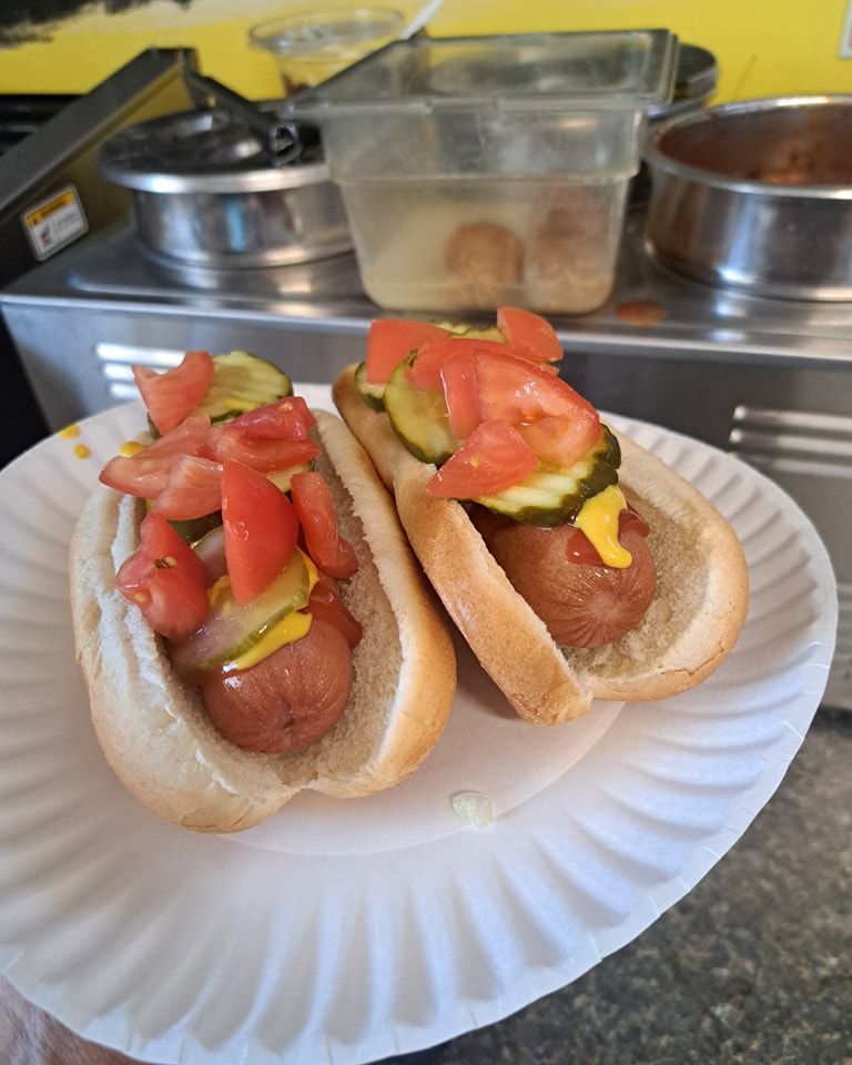 A person is holding a paper plate with two hot dogs on it.