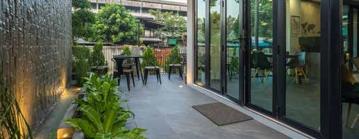A patio with a lot of windows and plants.