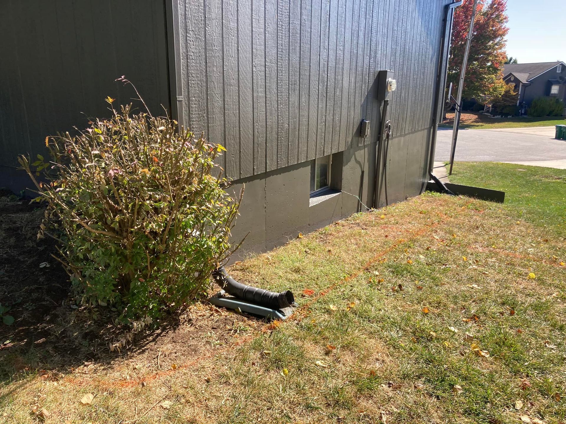 A house with a drain pipe on the side of it and a bush in front of it.