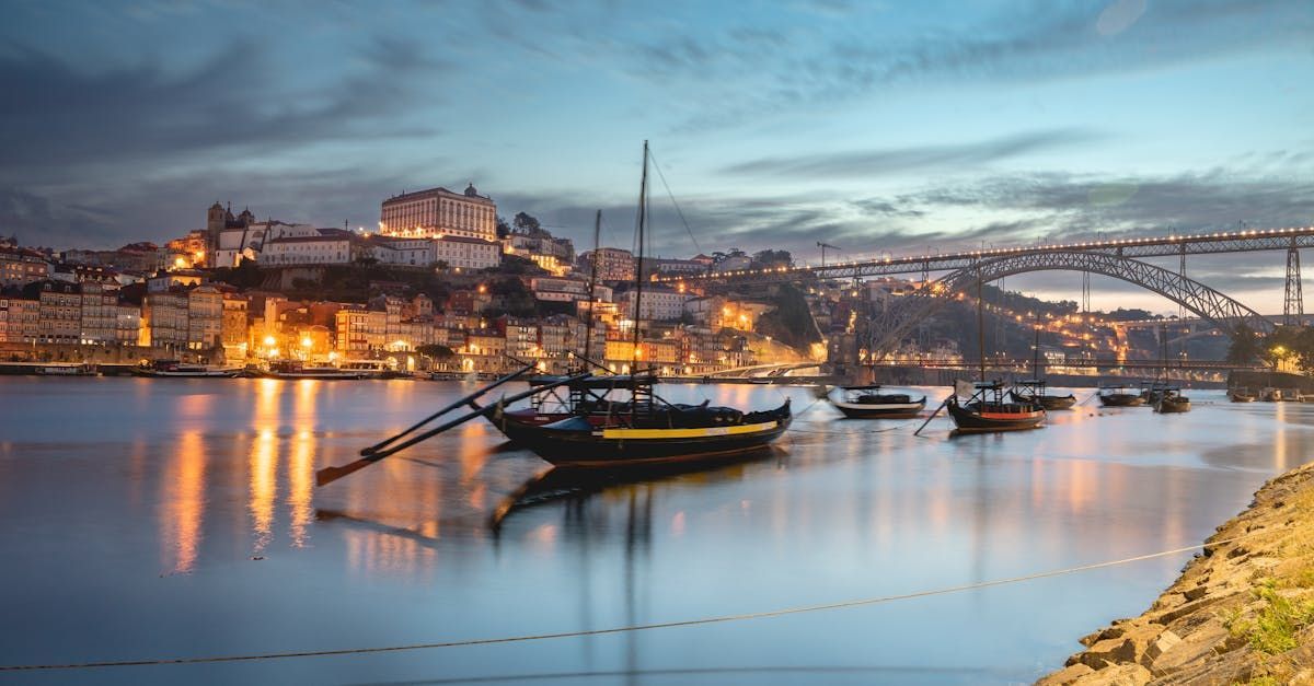 A group of boats are docked in a harbor with a city in the background.