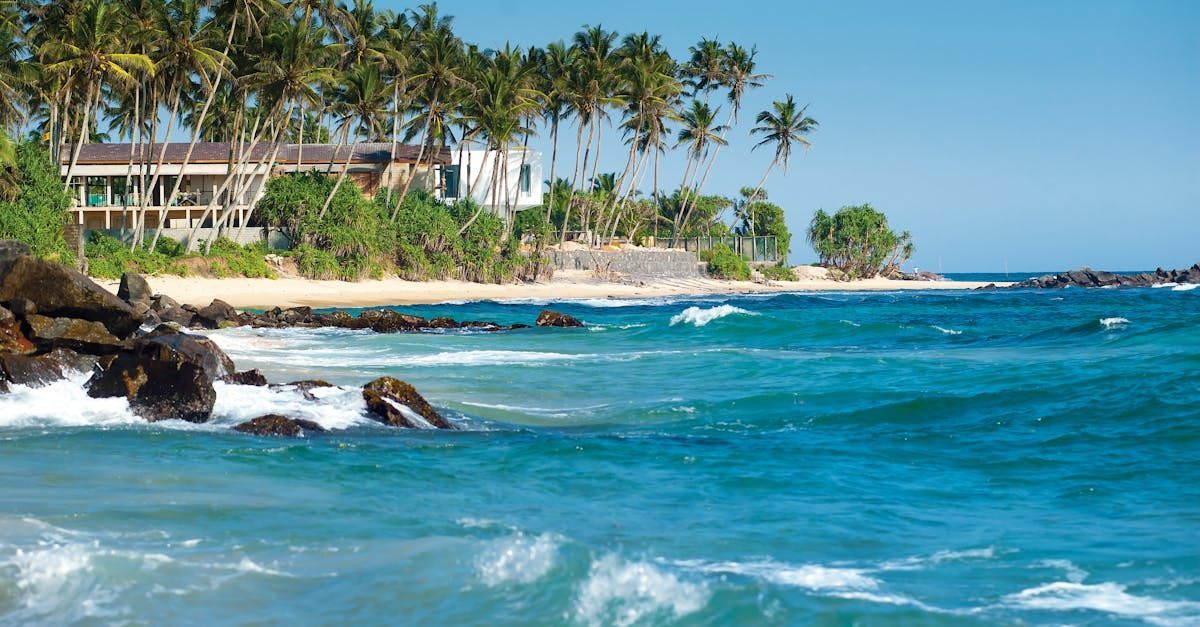A beach with palm trees and a house in the background