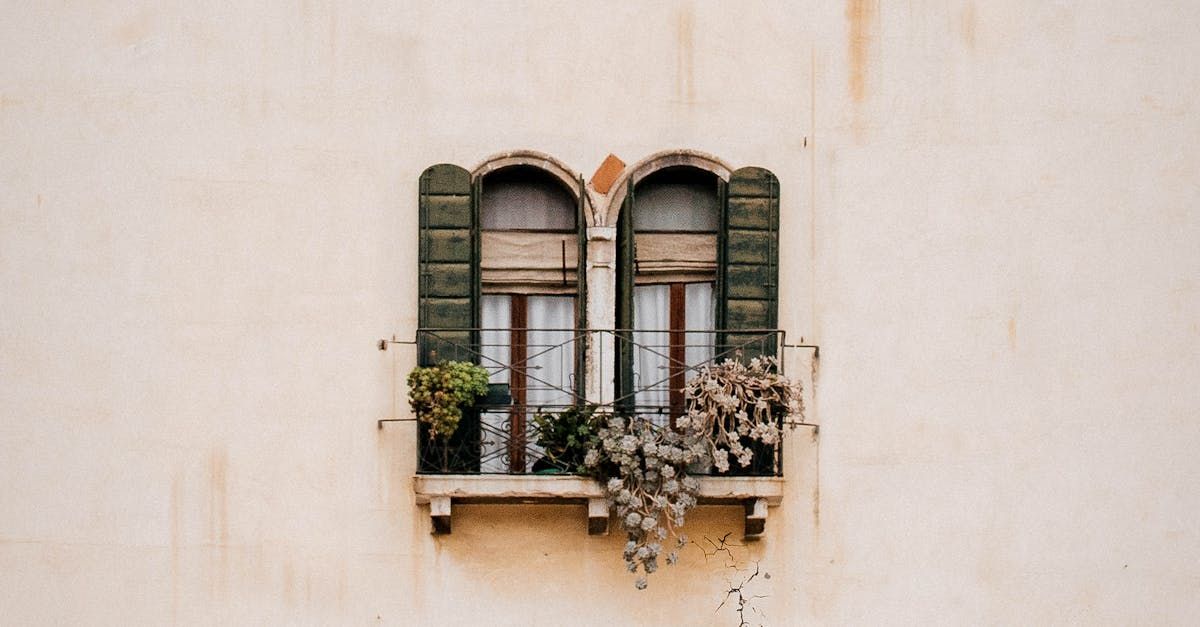 Two arched windows with green shutters on a building.