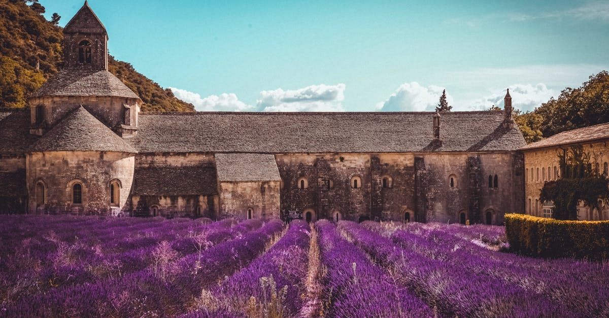 There is a large building in the background and a field of purple flowers in the foreground.