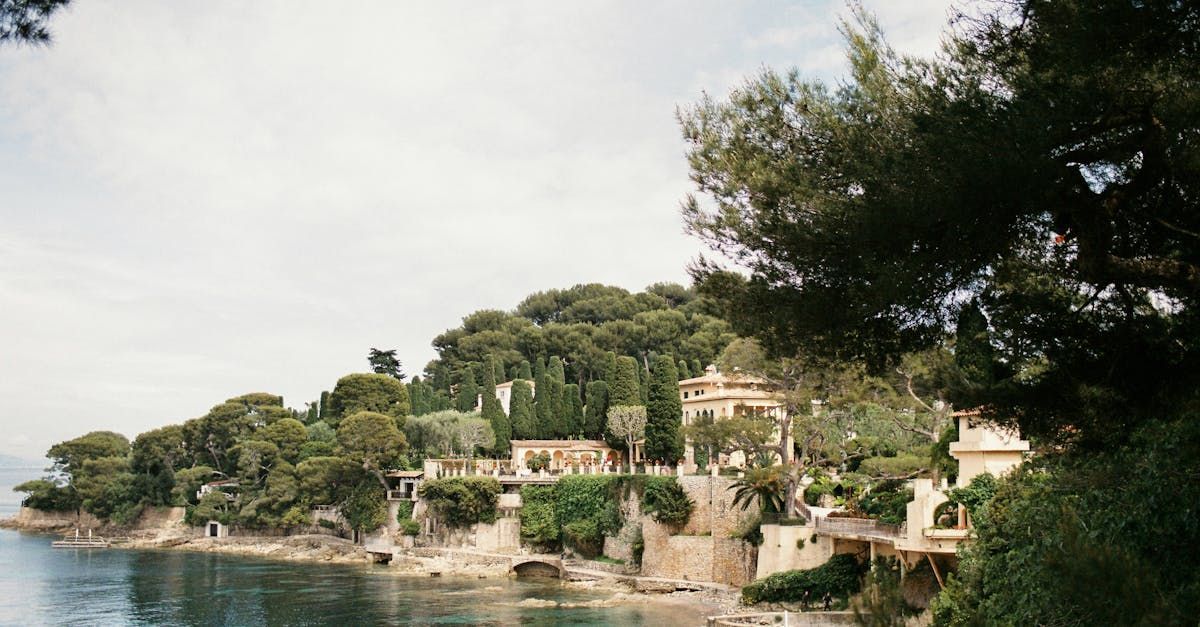 A cliff overlooking a body of water surrounded by trees and houses.
