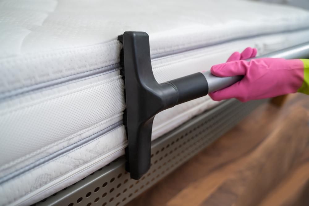 A Person Is Cleaning a Mattress — Professional Cleaning Company in Childers, QLD