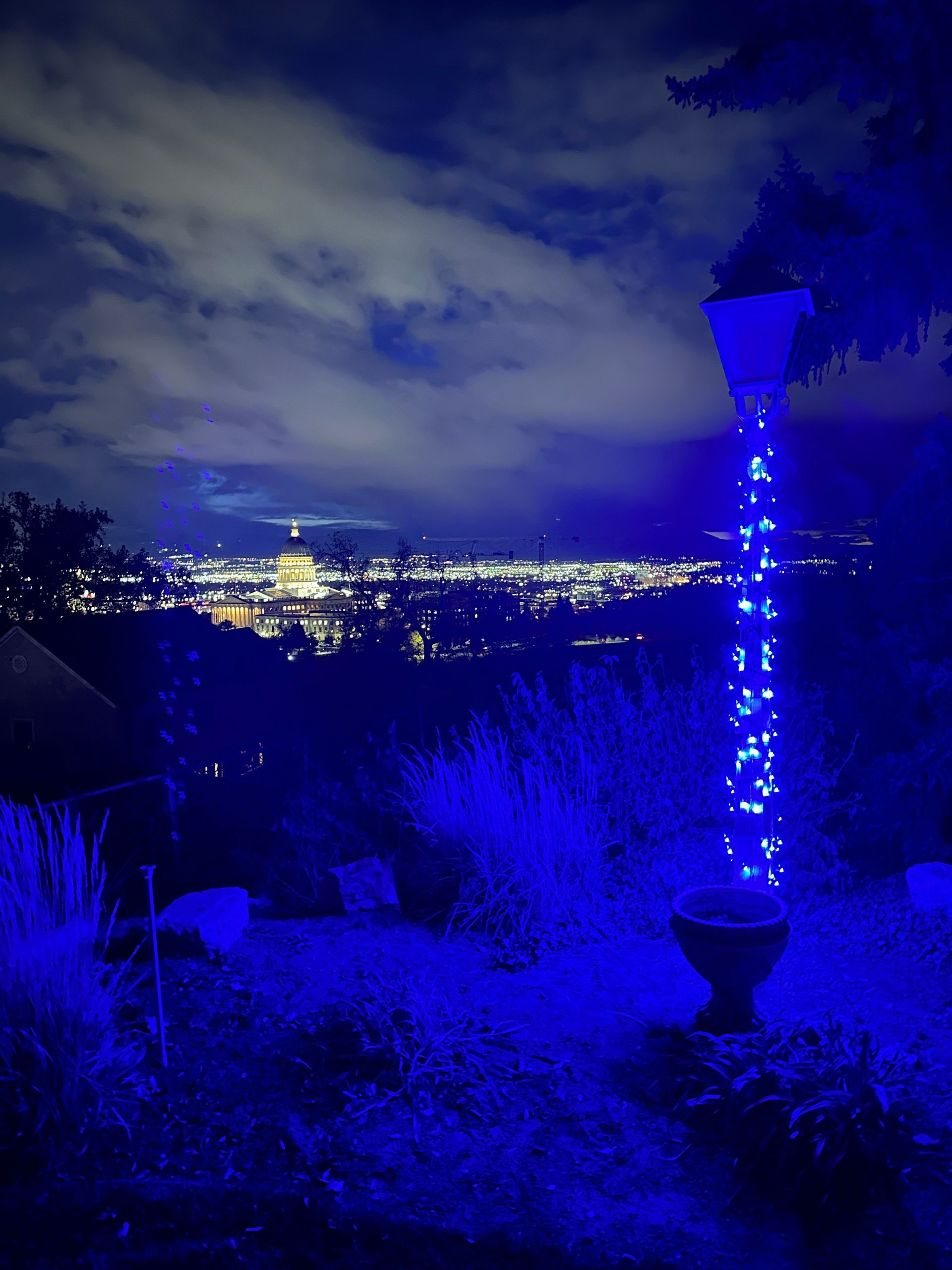 Nighttime cityscape from a hillside, with blue-lit trees in the foreground and a glowing skyline in the distance.