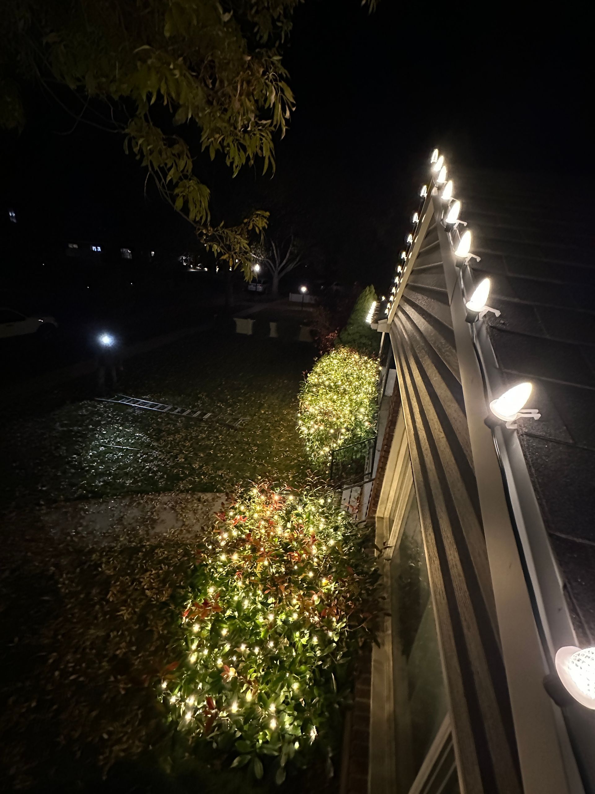 Night view: lit bushes and building with lights lining the edge. Street in the background.