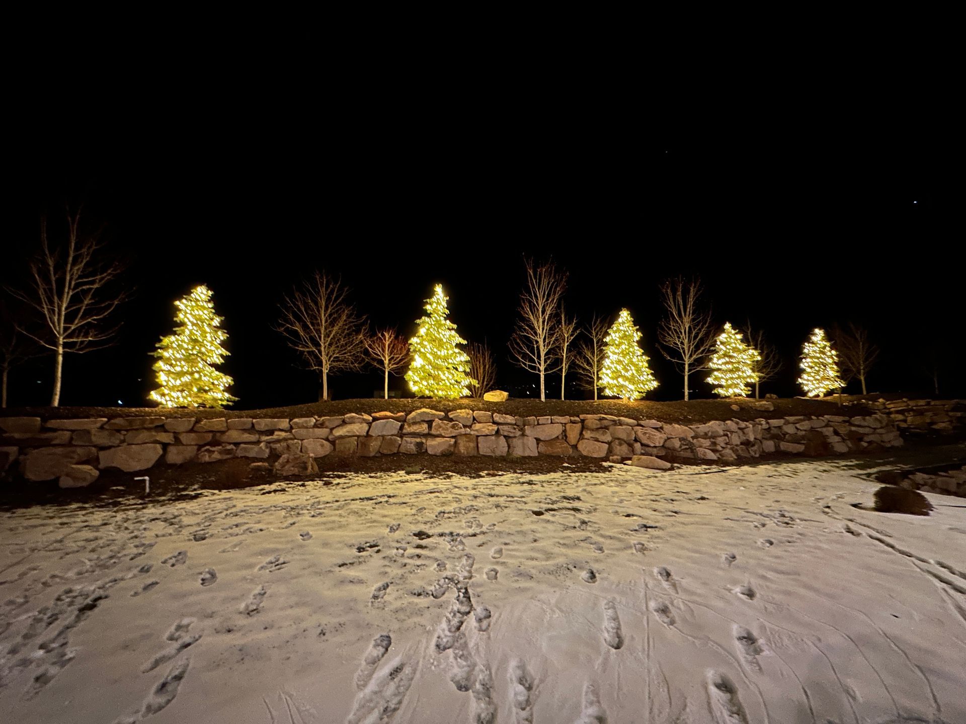Row of lit Christmas trees on a stone wall, with snow-covered ground at night.