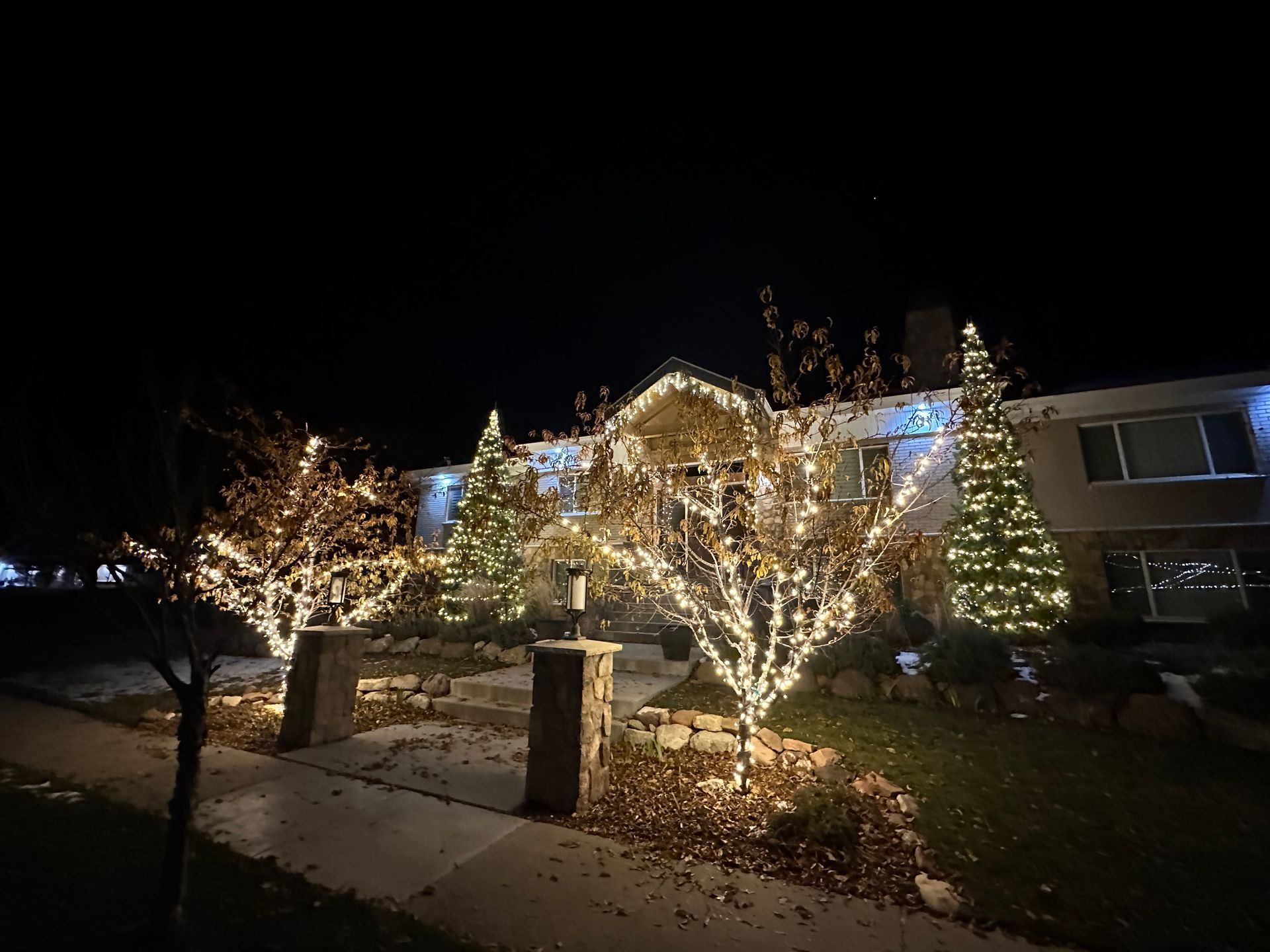A house decorated with white Christmas lights, illuminating trees and the building against a dark night sky.