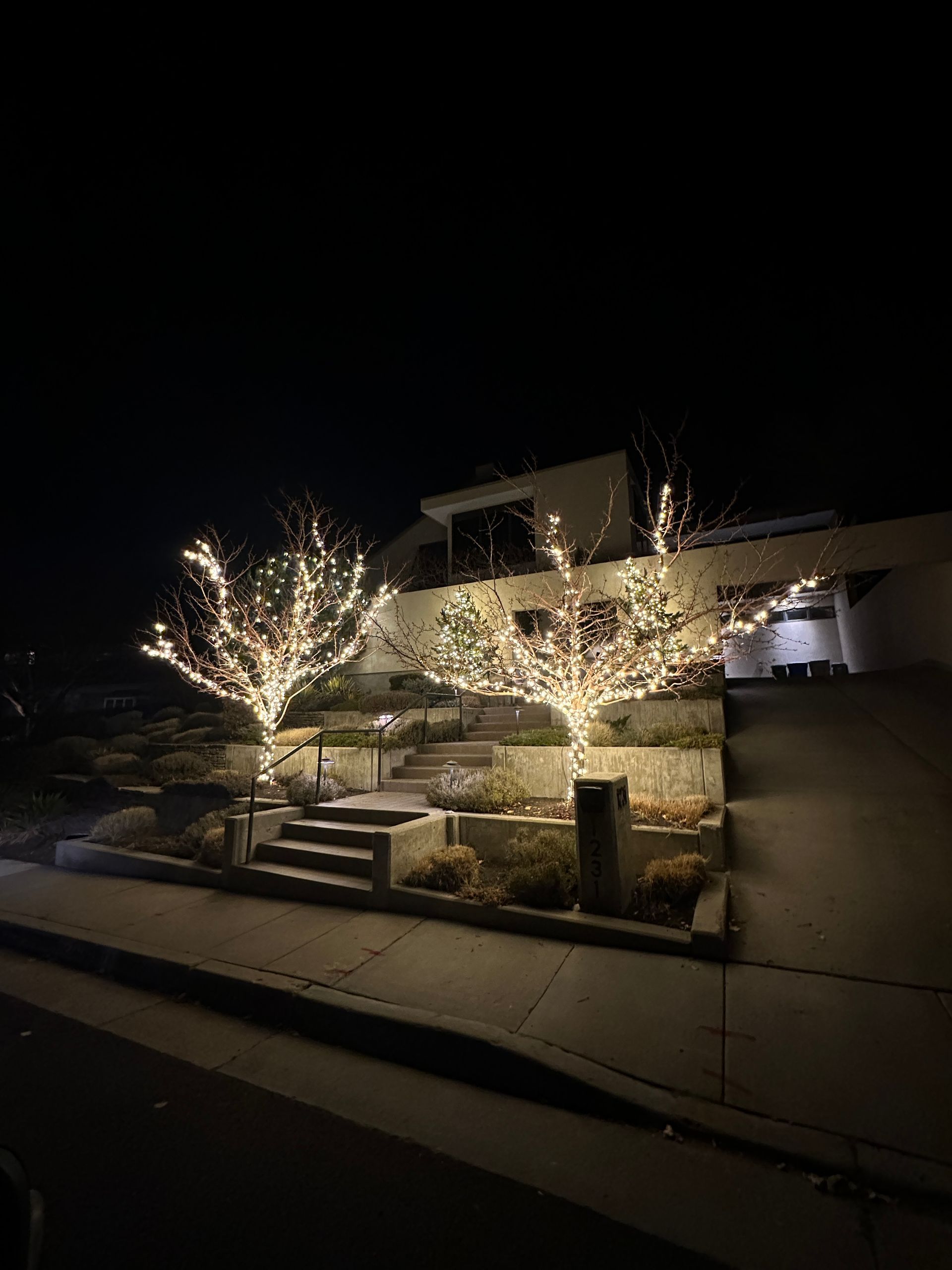Trees decorated with white lights in front of a house at night. Stairs and a ramp lead up to the building.