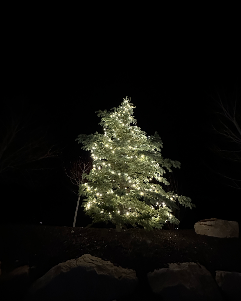 Christmas tree lit up with white lights at night.