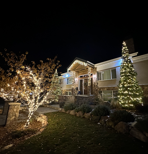 House decorated with Christmas lights at night; trees and bushes also lit with strings of white lights.