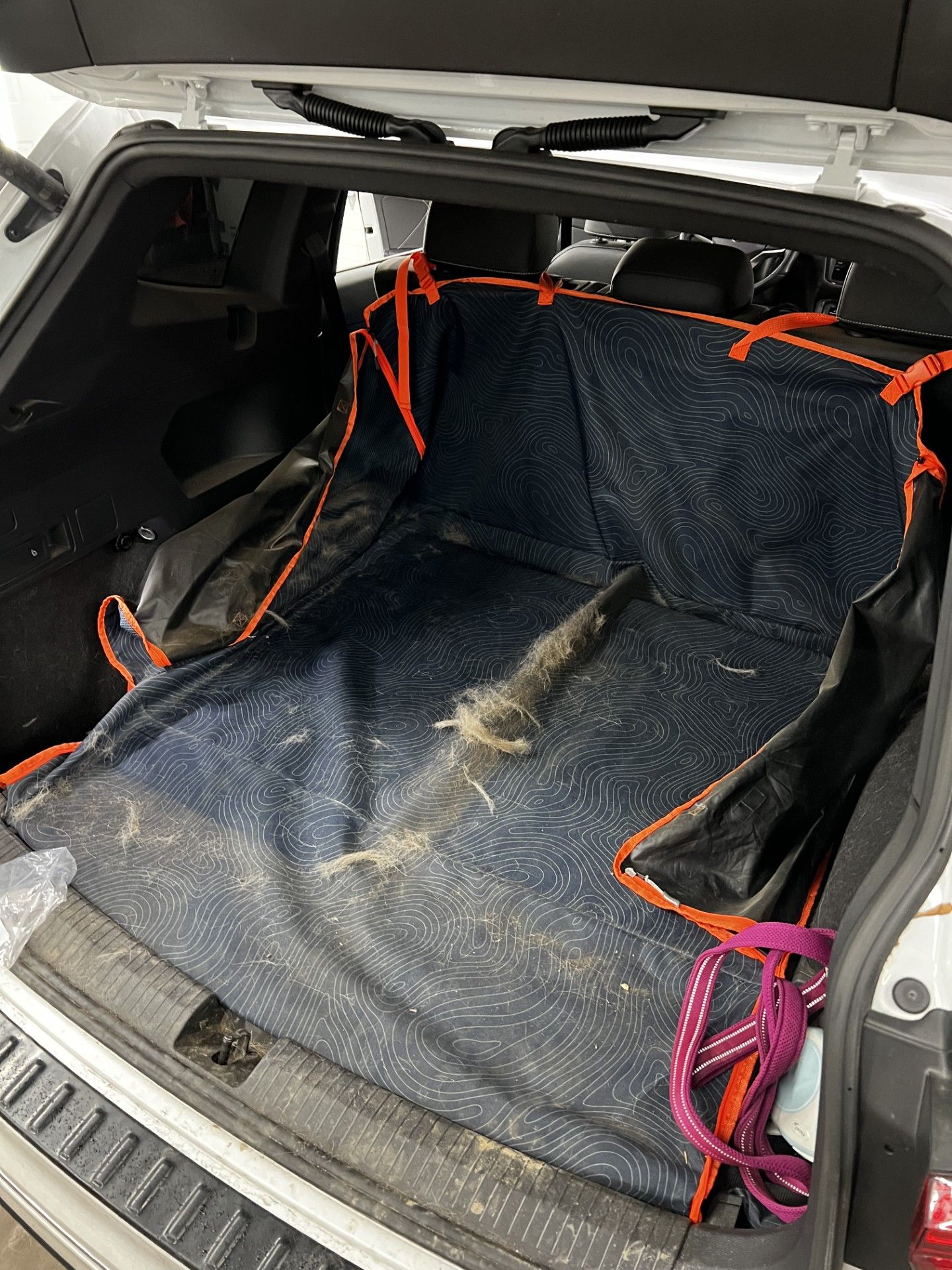 Pet hair interior