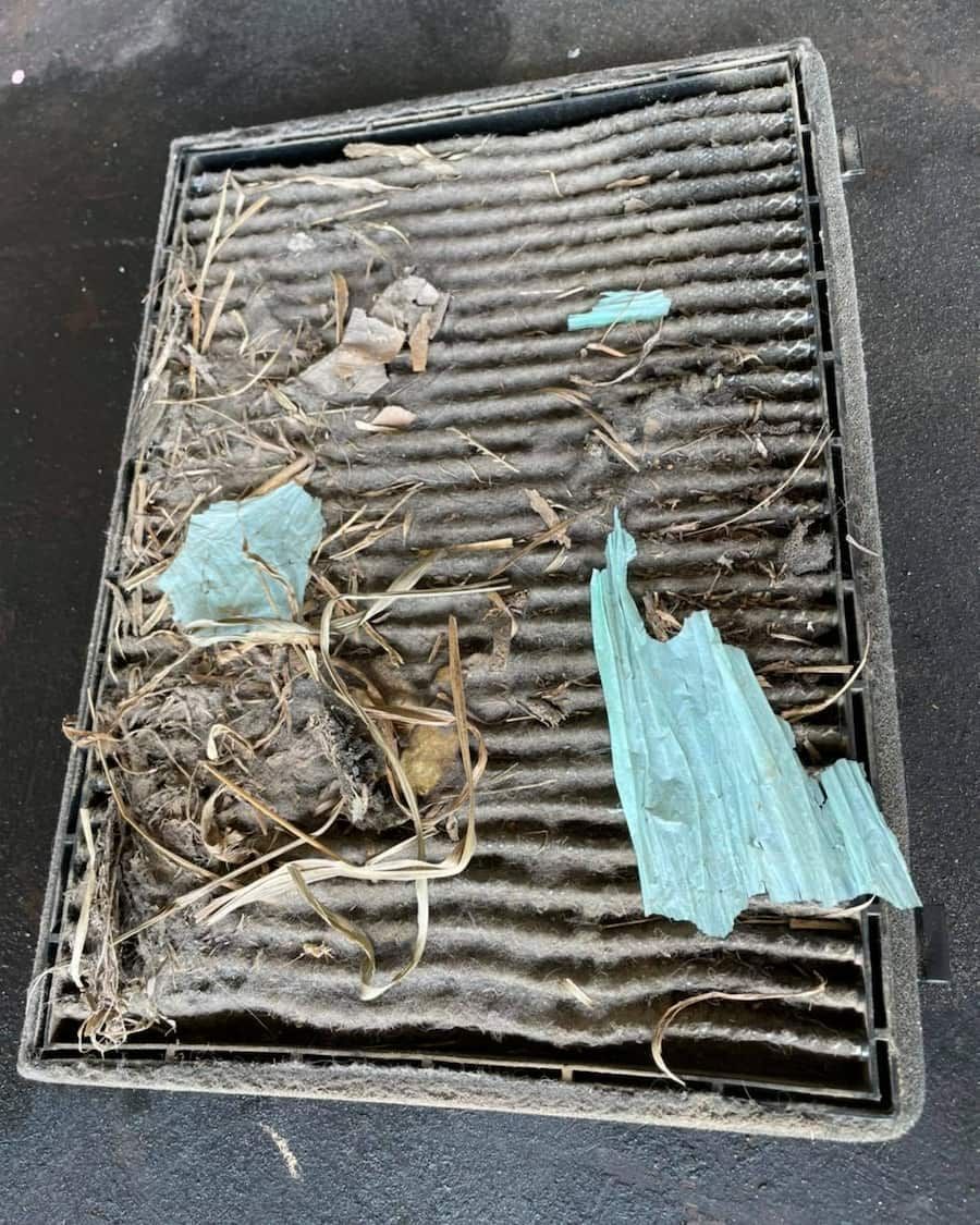 A Dirty Air Filter With A Piece Of Blue Plastic On It — Hannam Street Mufflers and Mechanical In Bungalow, QLD
