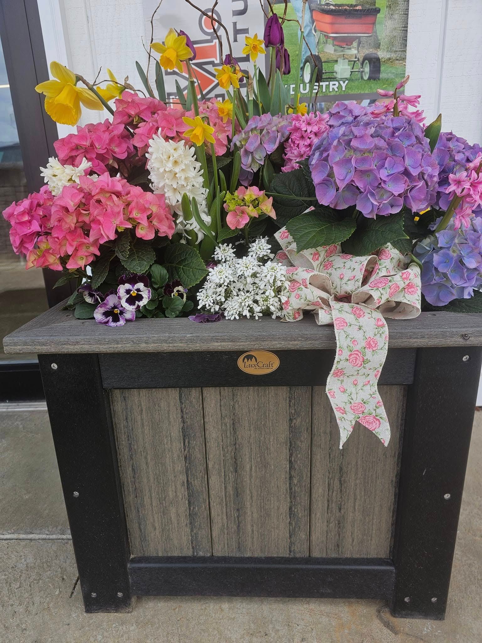Bright mixed flower display in a black planter with pink, purple, yellow, and white blooms