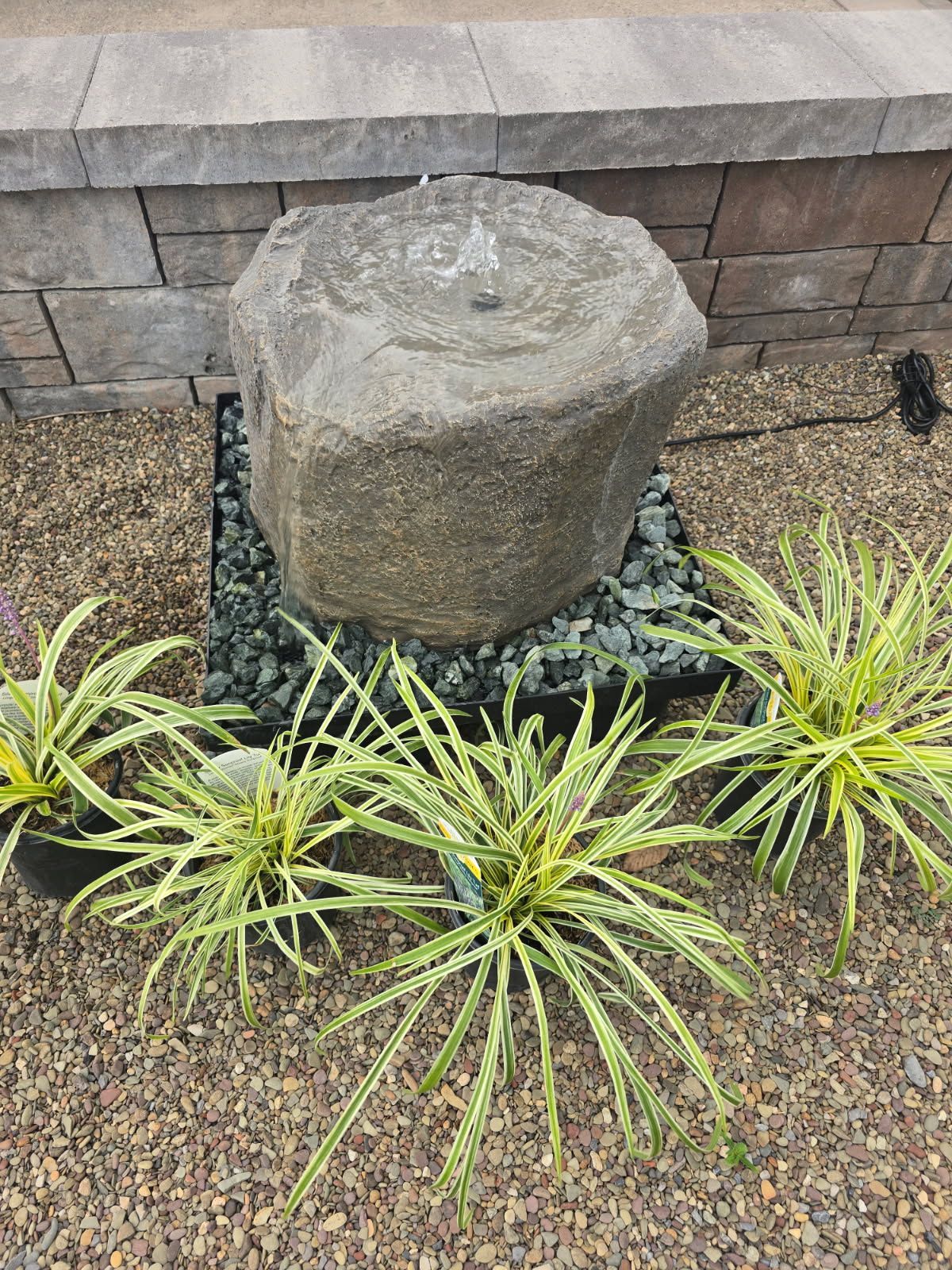 Stone water feature with black pebbles and small green plants in a garden bed