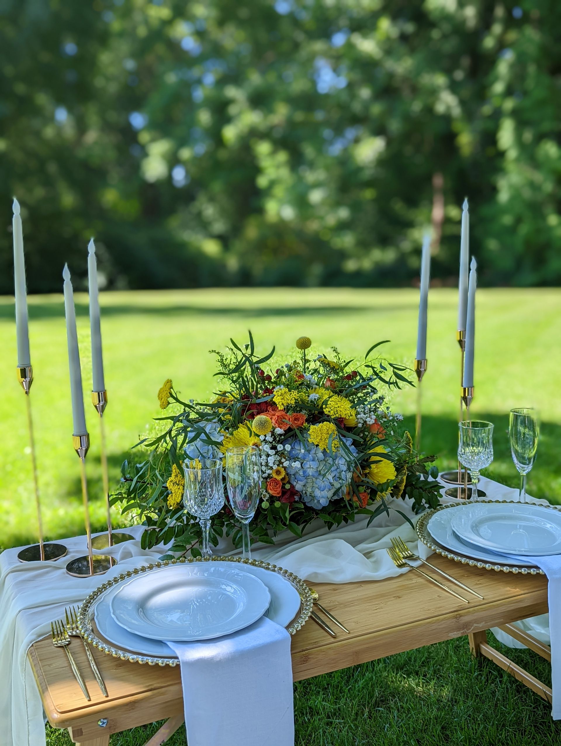 Houston Luxury Picnics, Best Luxury Picnic Houston, TX