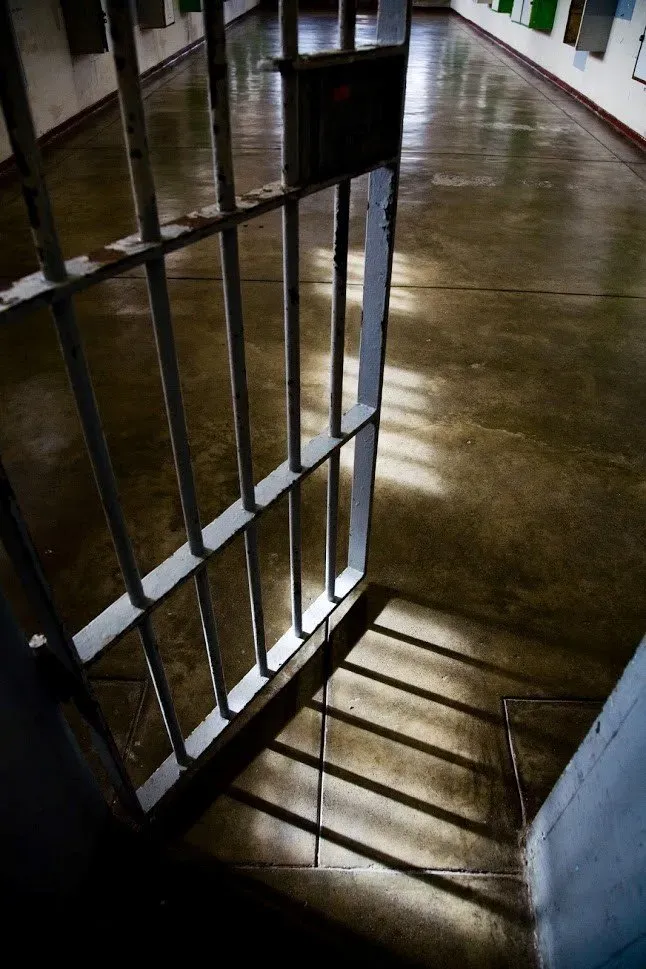 Bail Out — New Port Richey, FL — Brad’s Bail Bonds