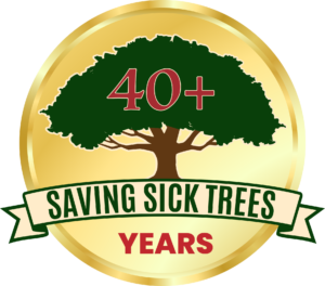 40+ years saving sick trees logo with green tree and gold circular badge