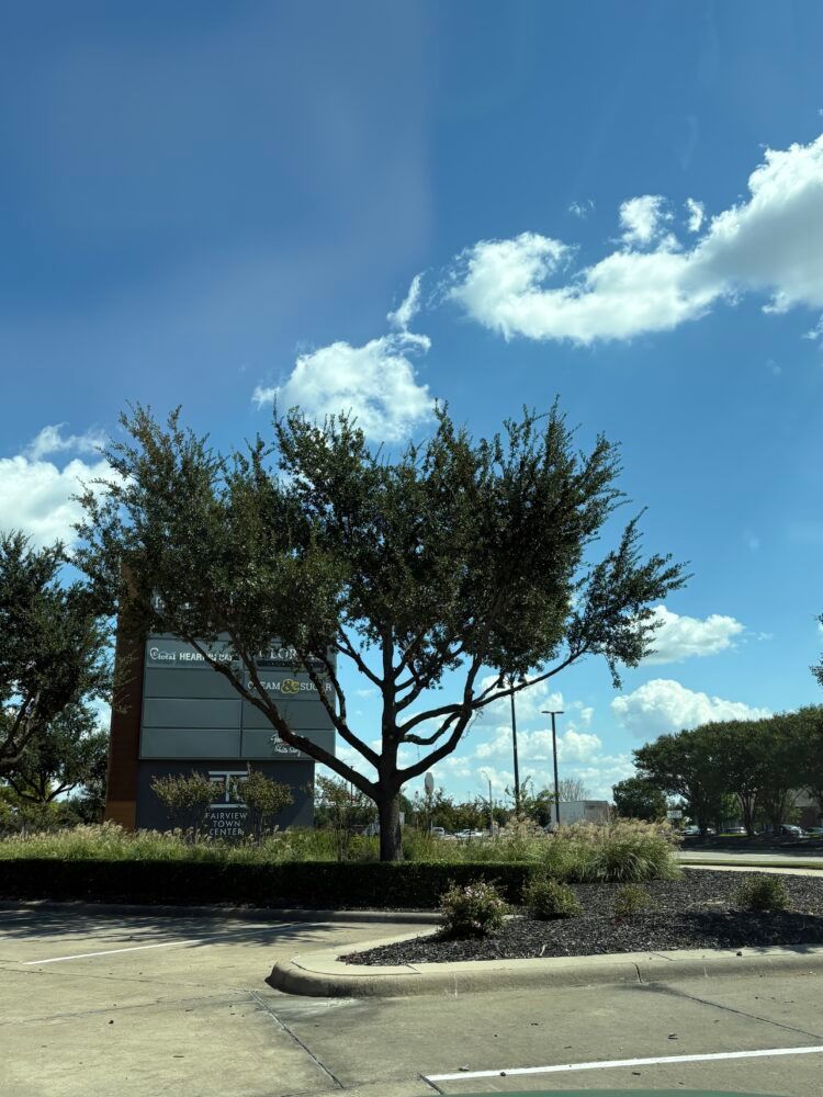 Sunlit parking lot with trees, a grassy median, and a blue sky with clouds