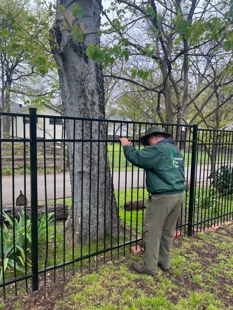 Person in green jacket and black hat leaning on a black fence beside a large tree outdoors.
