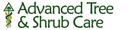 Advanced Tree & Shrub Care logo with green tree and vine icon and text