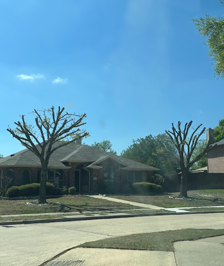 Suburban house with leafless trees and a green lawn under a clear blue sky.