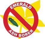 Red prohibition symbol over an emerald ash borer insect with the words “EMERALD ASH BORER” on yellow