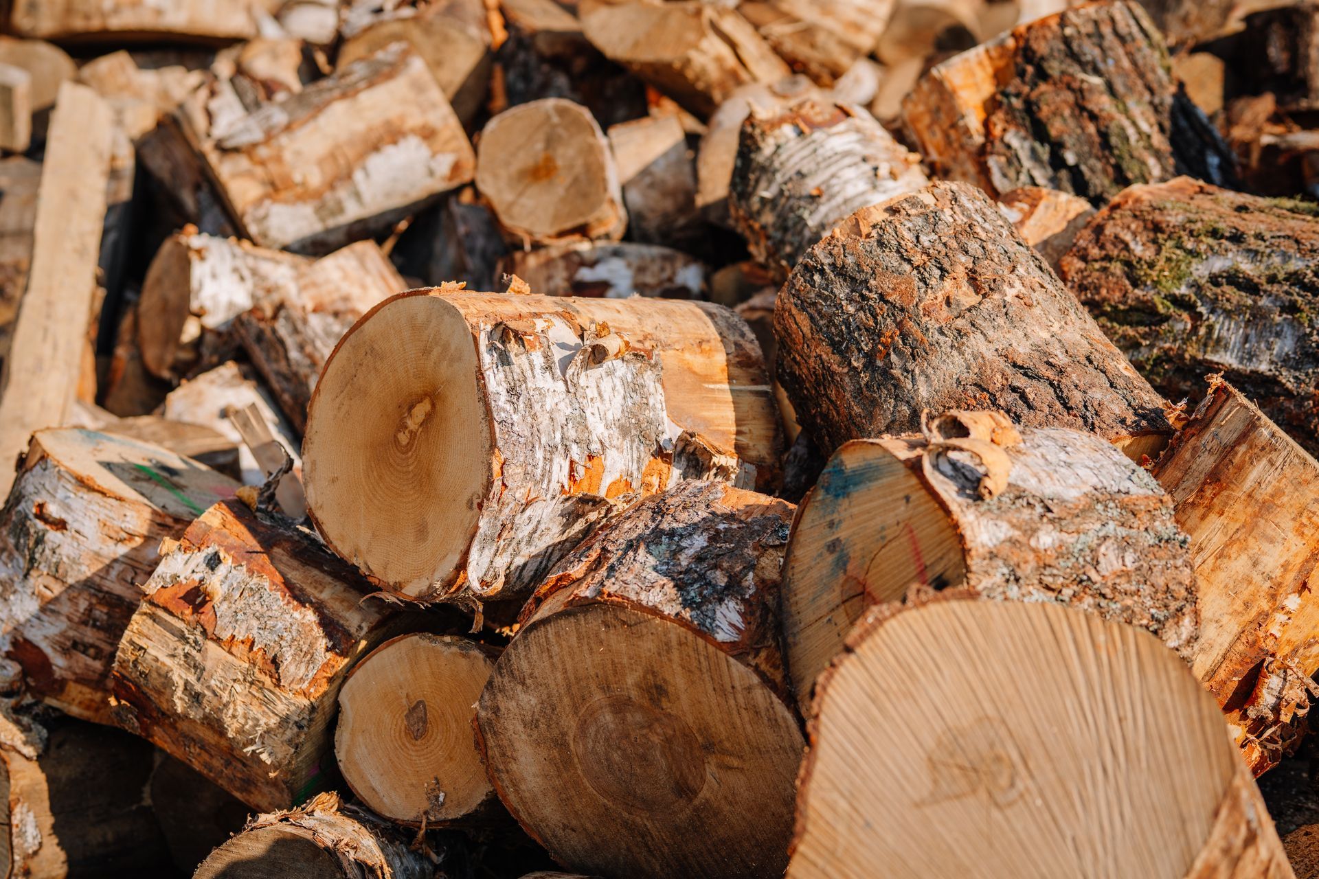 Stacked cut logs with rough bark and pale wood ends filling the frame