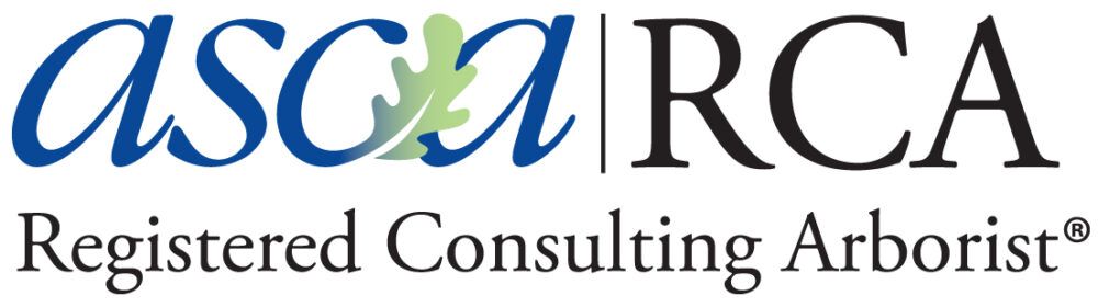 ASCA RCA logo with blue and green lettering and “Registered Consulting Arborist” text