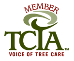 TCIA member logo with green tree and brown “VOICE OF TREE CARE” text
