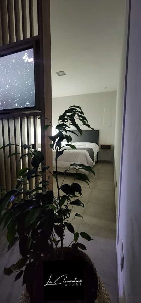 Un dormitorio con una planta en primer plano y una cama al fondo. Se ve un televisor.