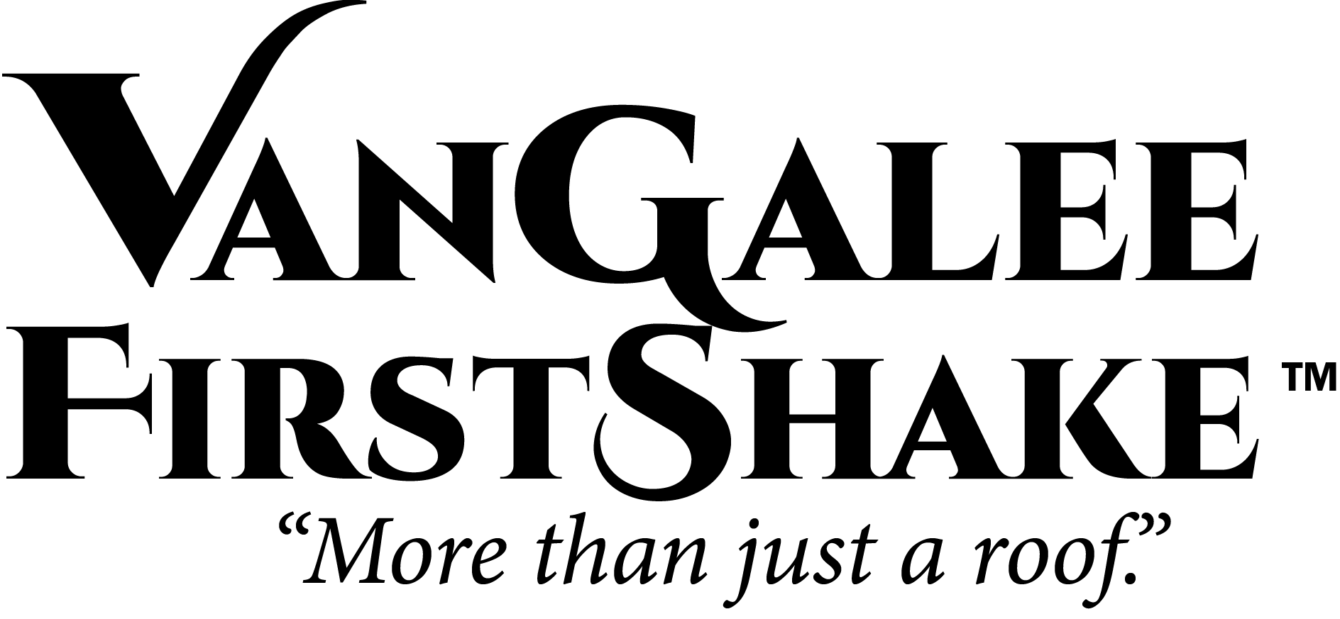 Vangalee First Shake Logo
