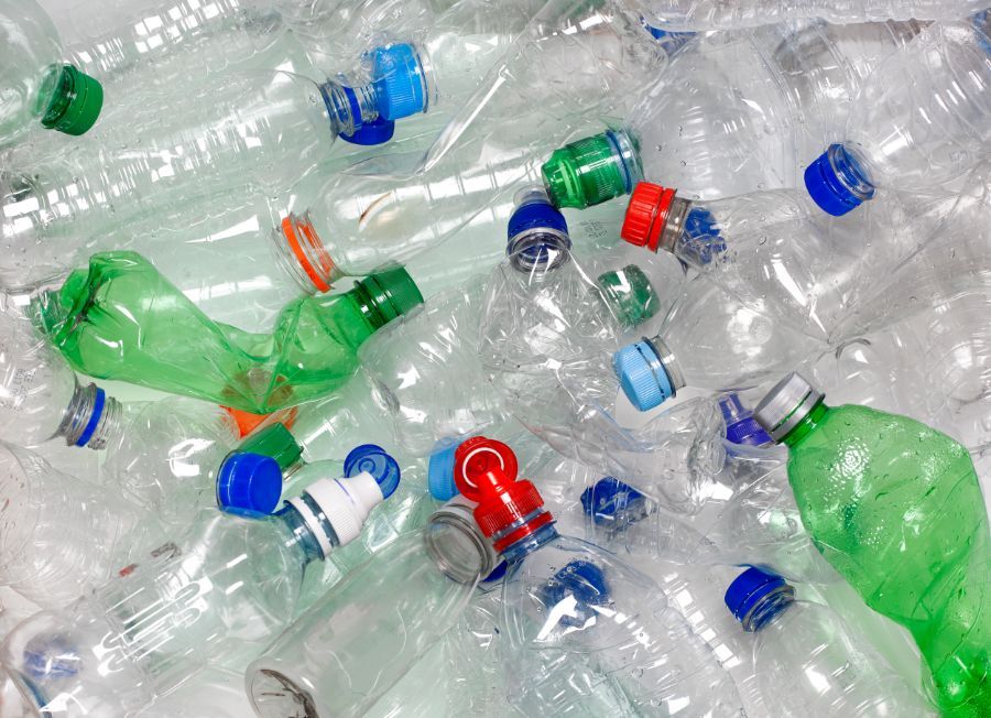 raccolta bottiglie di plastica