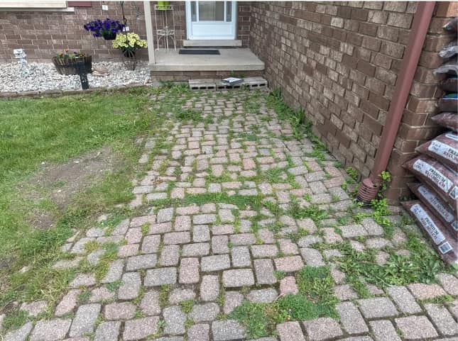 Brick walkway with weeds growing between the bricks leading to a front door.