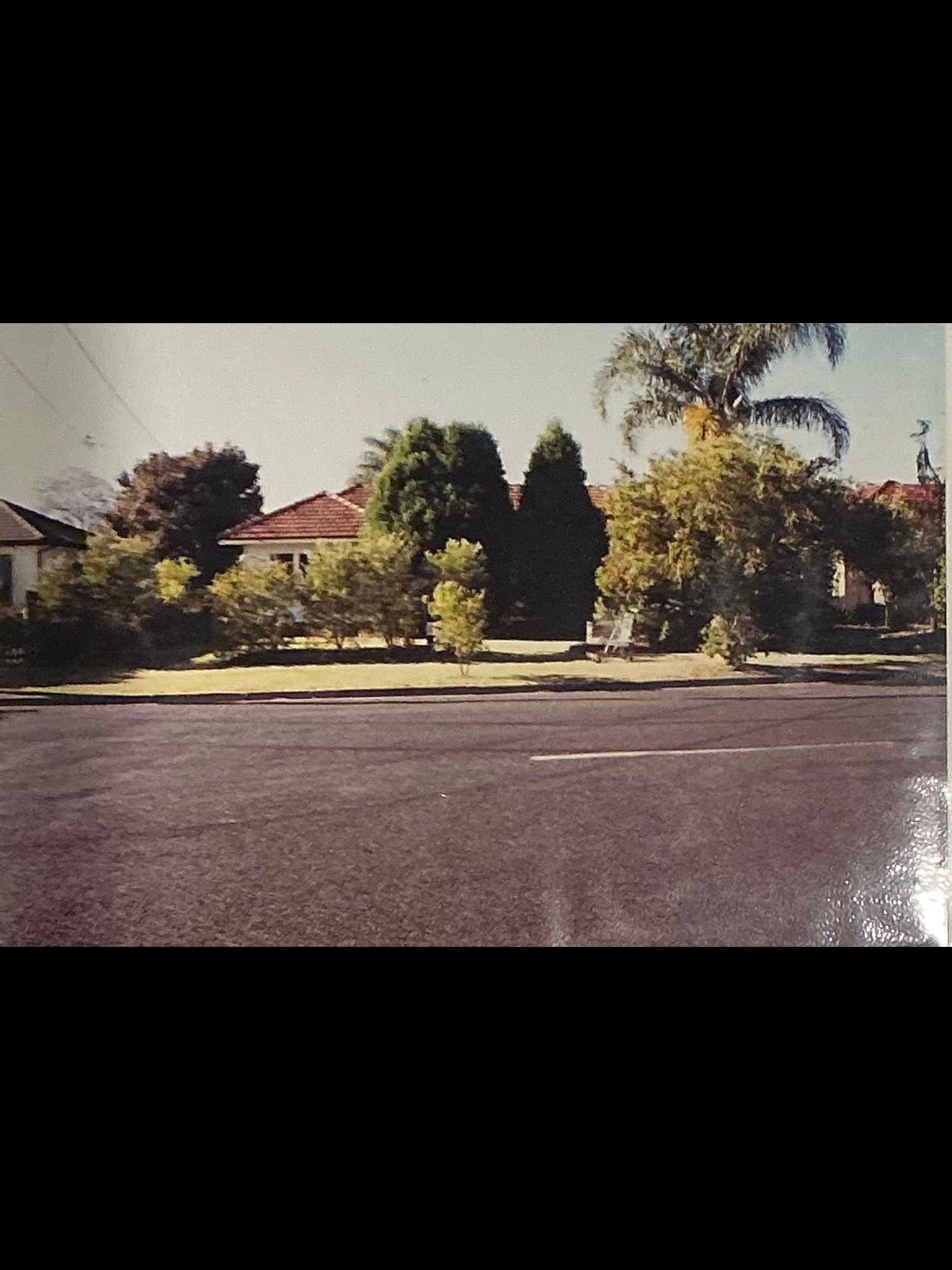 Residential street with houses, tall trees, and a sunlit front yard beside an empty road.