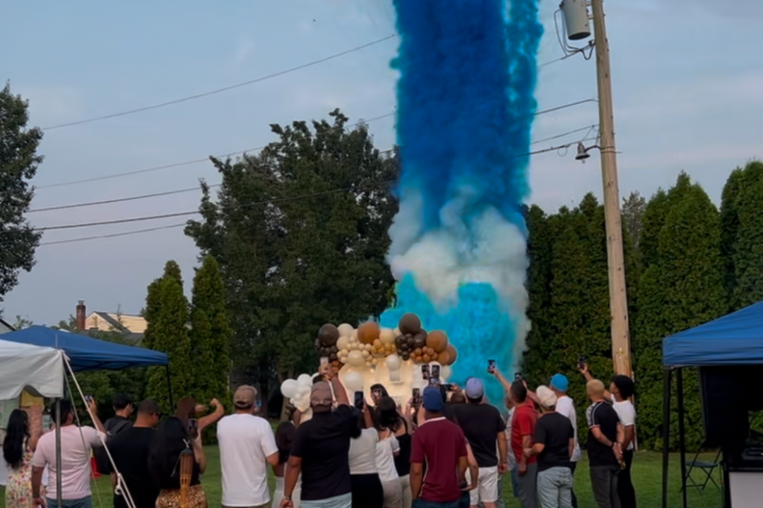 Gender Reveal Show