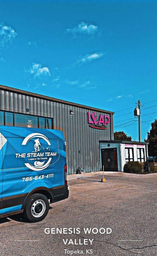Blue van parked outside a gray building with a pink “LADY” sign, under a clear blue sky.