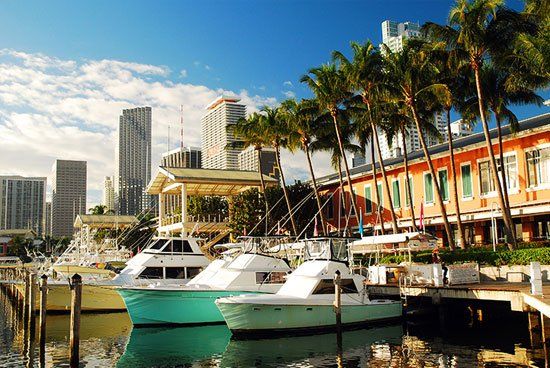 Resort — Saint Petersburg, FL — Reuben Clarson Consulting