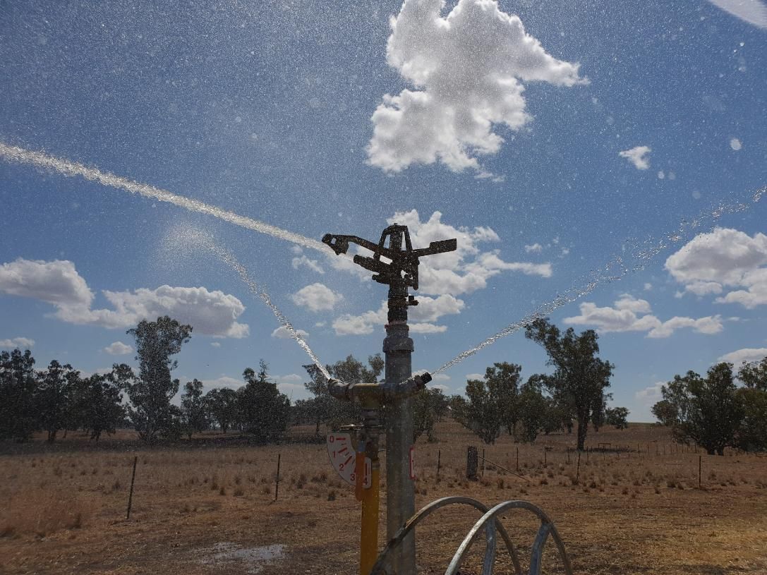 A Sprinkler Is Spraying Water in A Field with Trees in The Background — Peel Irrigation & Water Supplies in Taminda, NSW